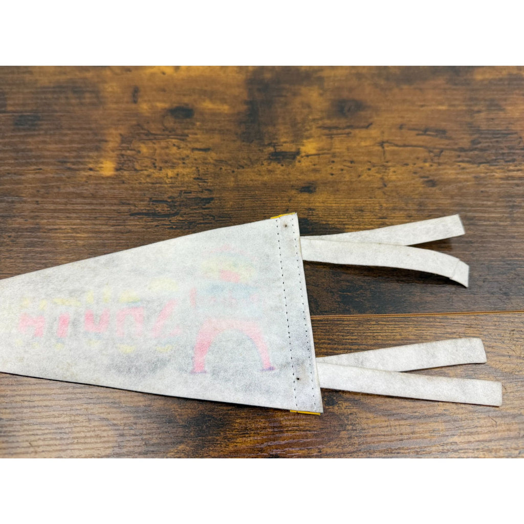 Vintage South of the Border pennant 12 inches