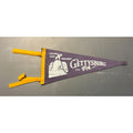 Vintage Gettysburg, PA pennant