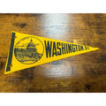 Vintage Washington D.C. mini pennant