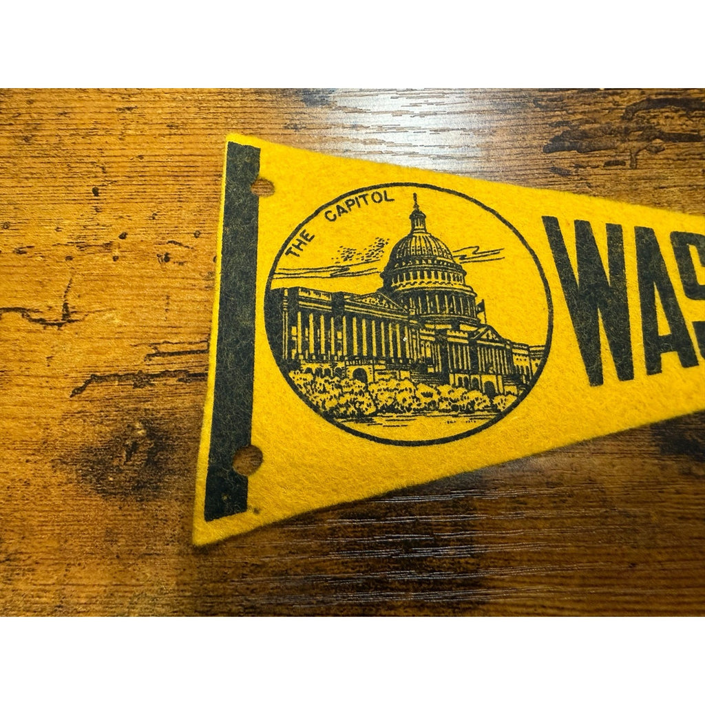 Vintage Washington D.C. mini pennant