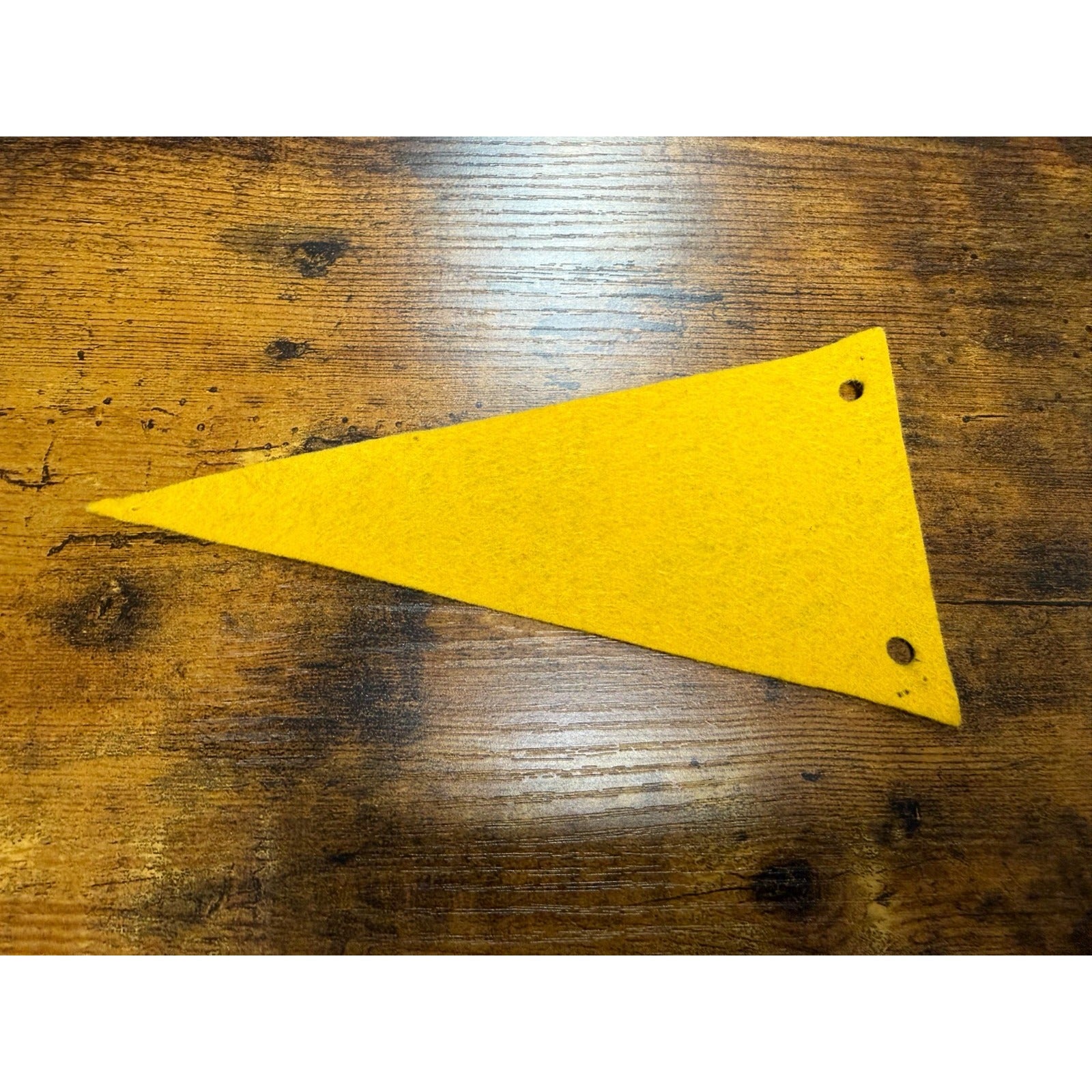 Vintage Washington D.C. mini pennant