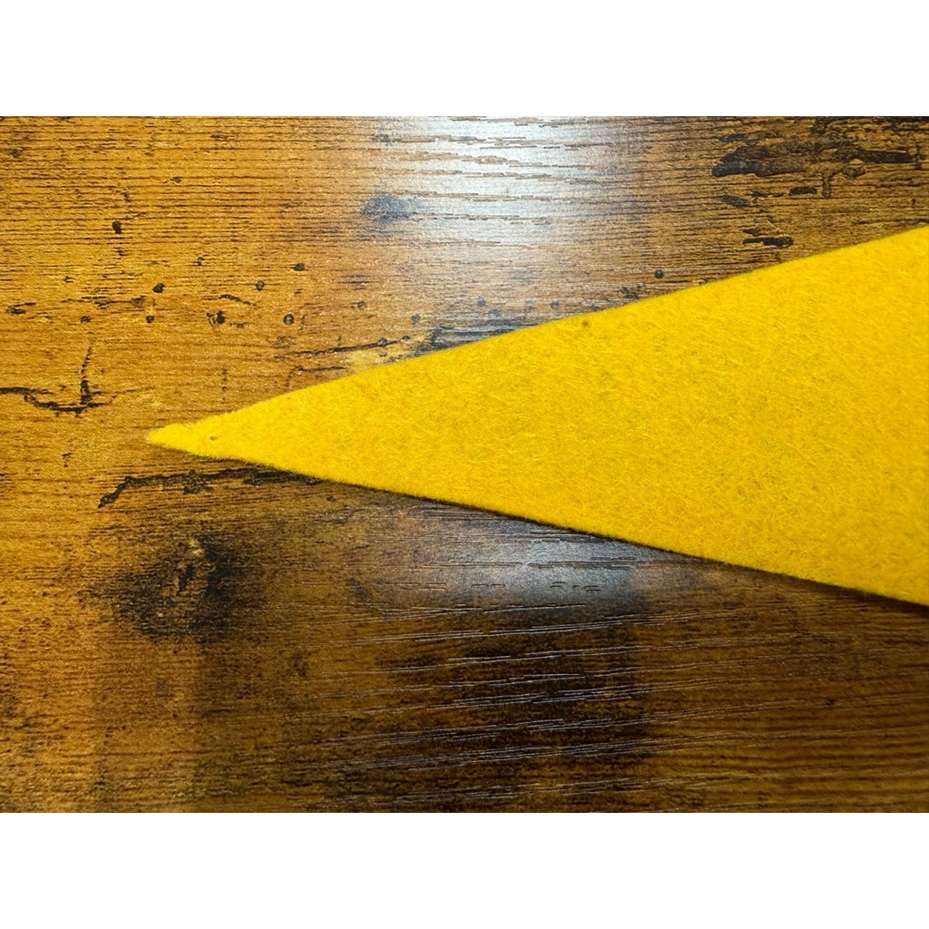 Vintage Washington D.C. mini pennant