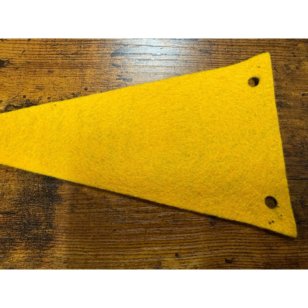 Vintage Washington D.C. mini pennant