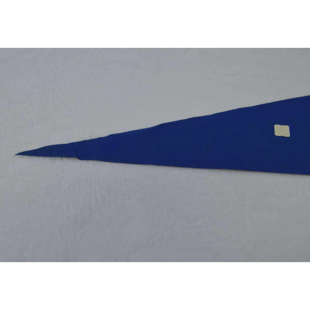 Vintage Niagara Falls New York pennant