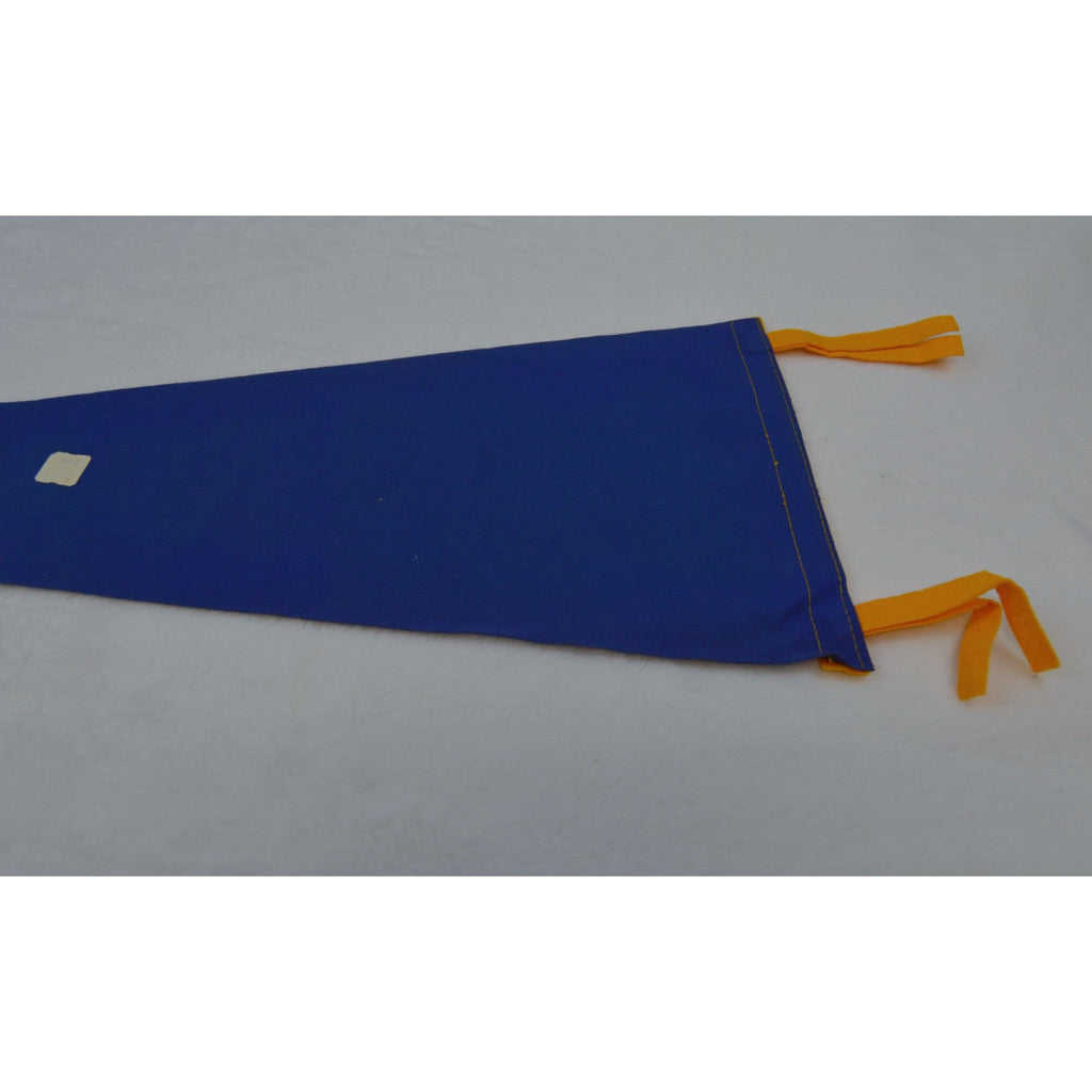 Vintage Niagara Falls New York pennant