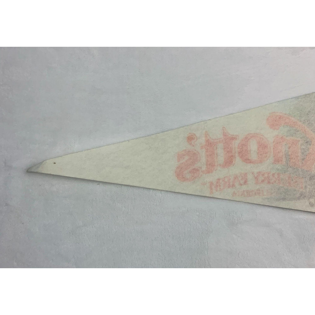 Vintage Knott's Berry Farms California pennant