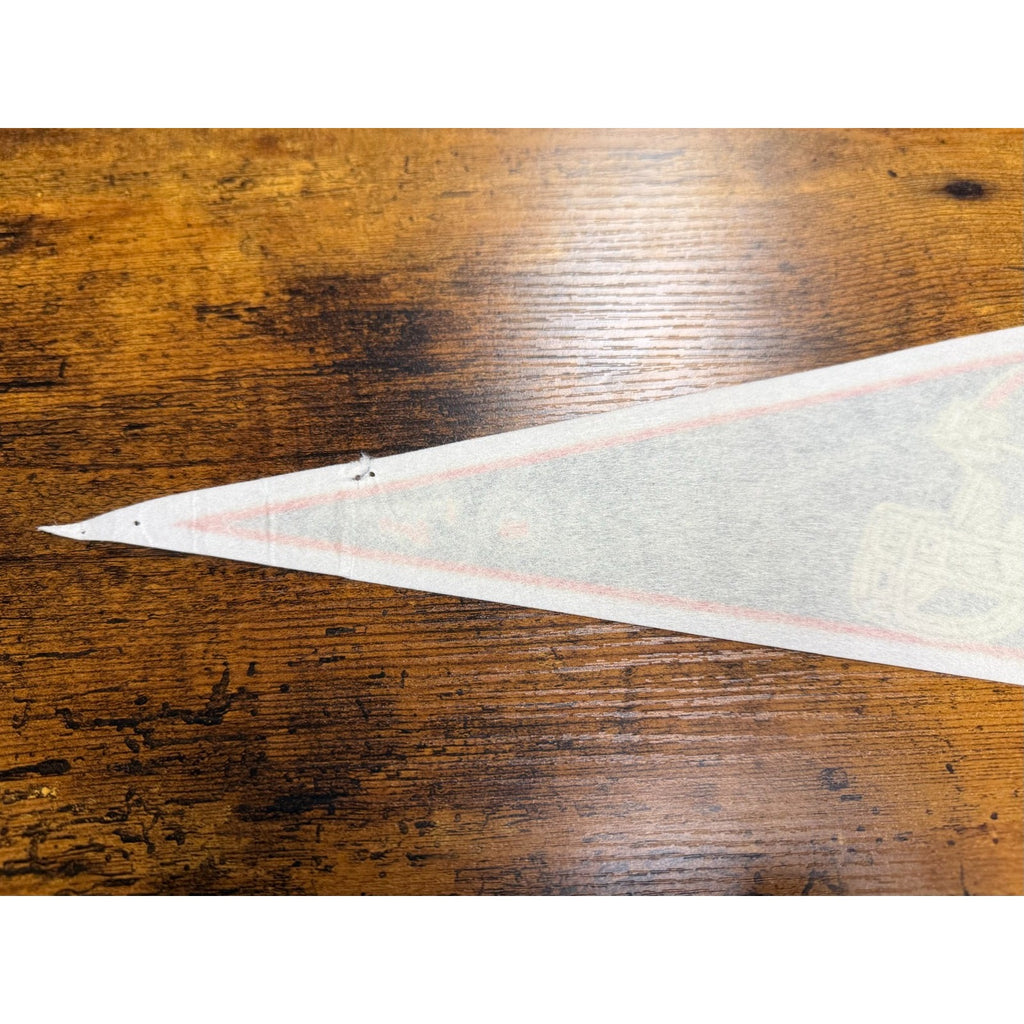 Vintage 90's NFL New York Giants pennant