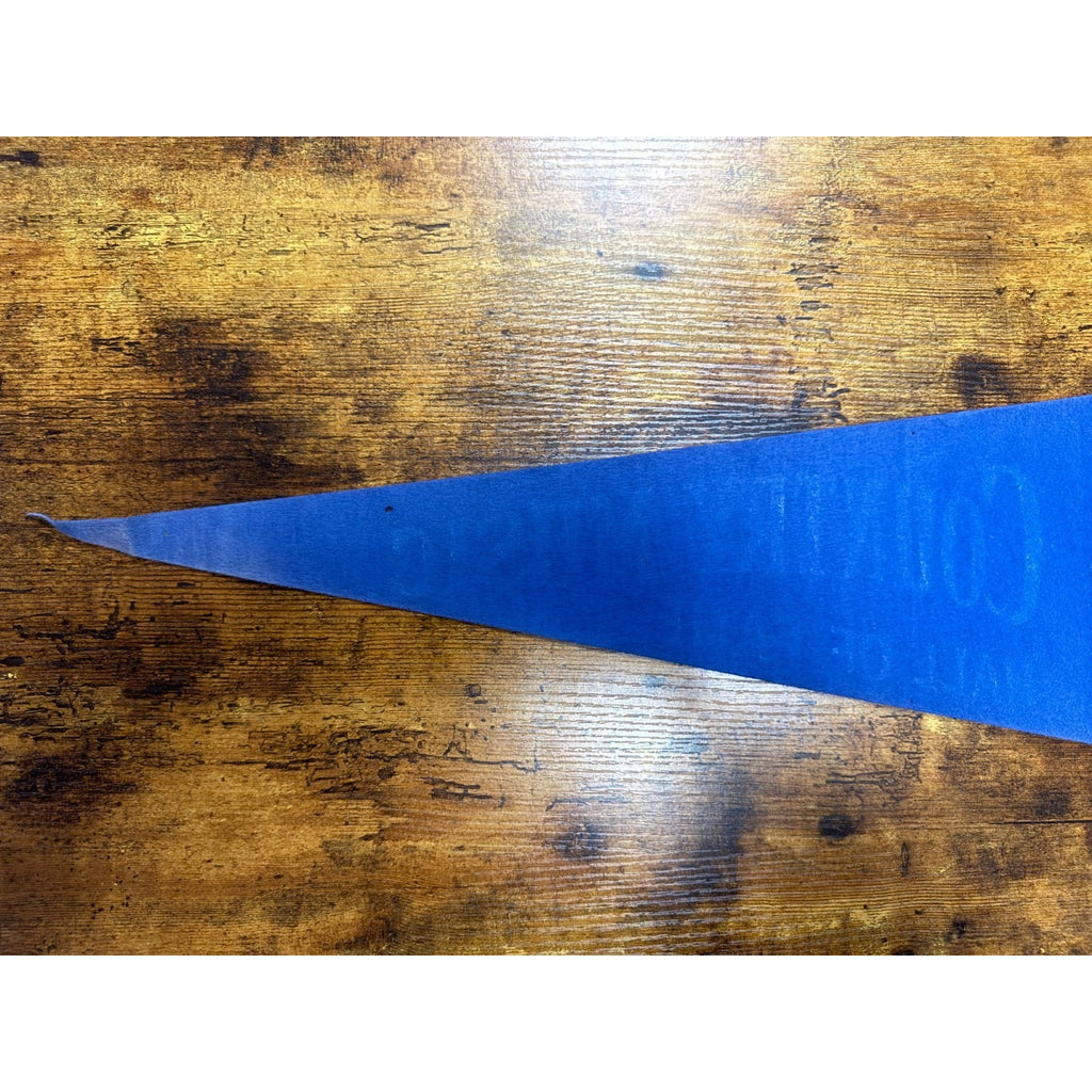 Vintage Country Music Hall of Fame pennant