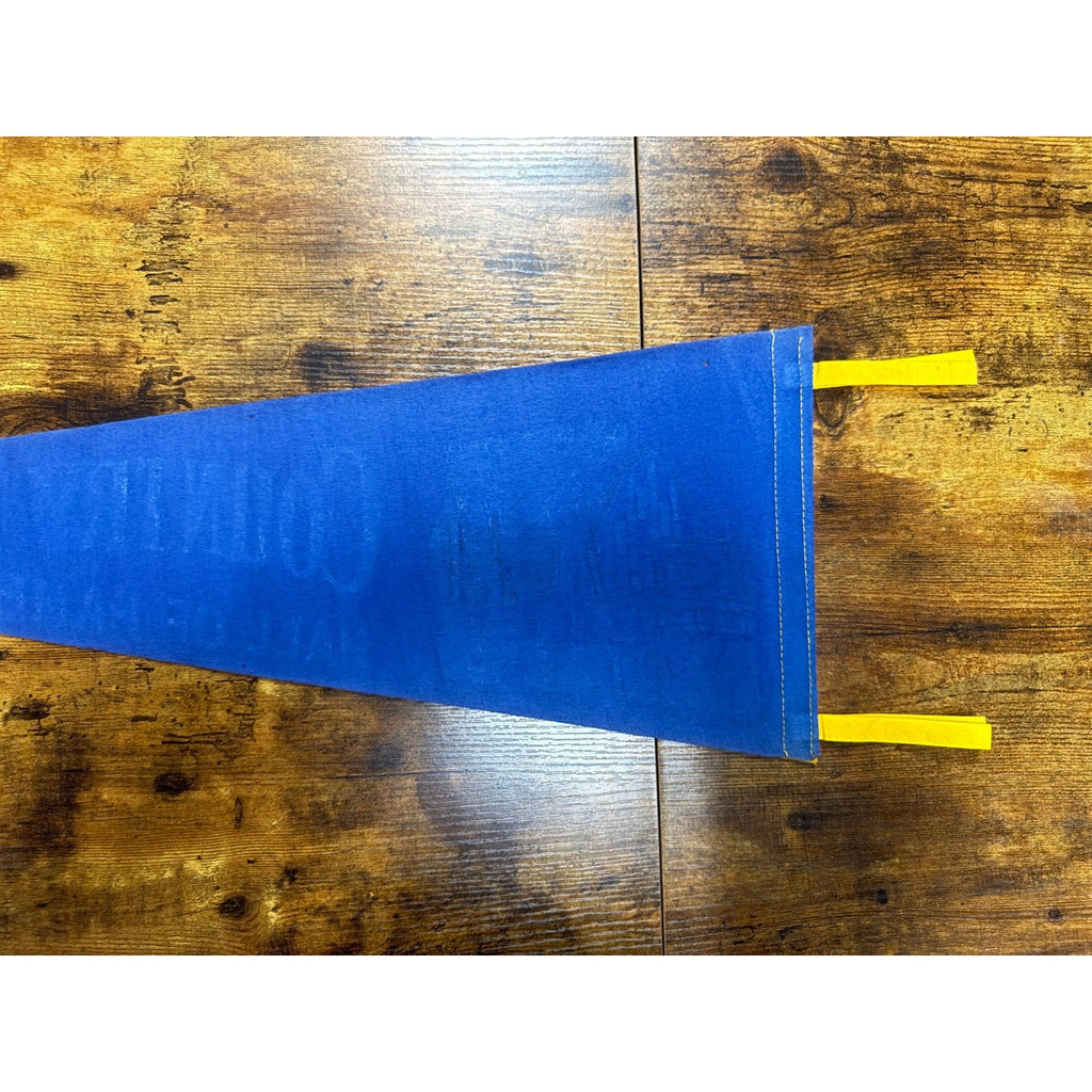 Vintage Country Music Hall of Fame pennant
