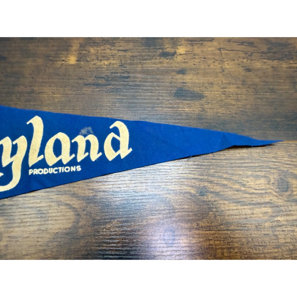 Vintage Disneyland Felt Pennant Blue Memorabilia 18 inches altered