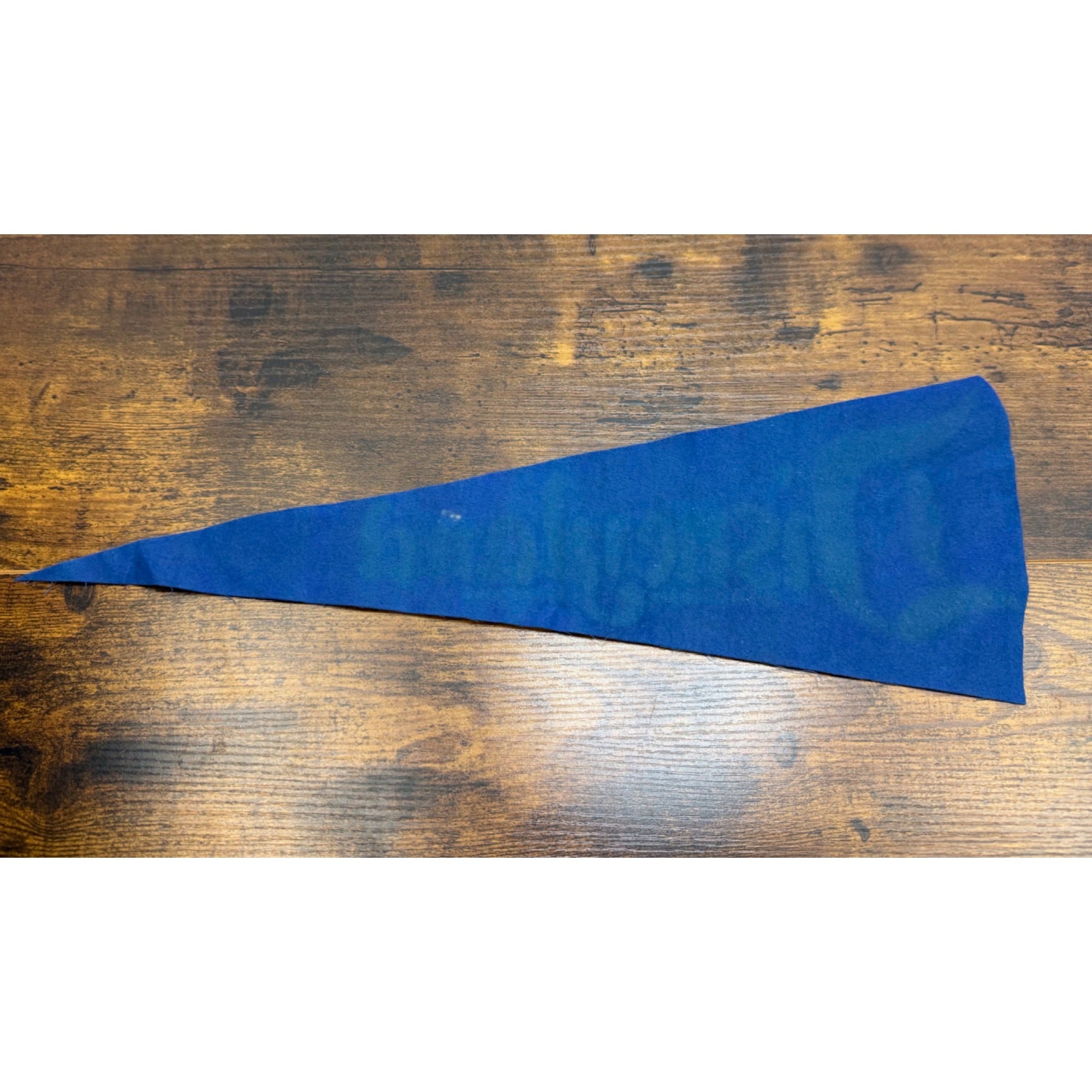 Vintage Disneyland Felt Pennant Blue Memorabilia 18 inches altered
