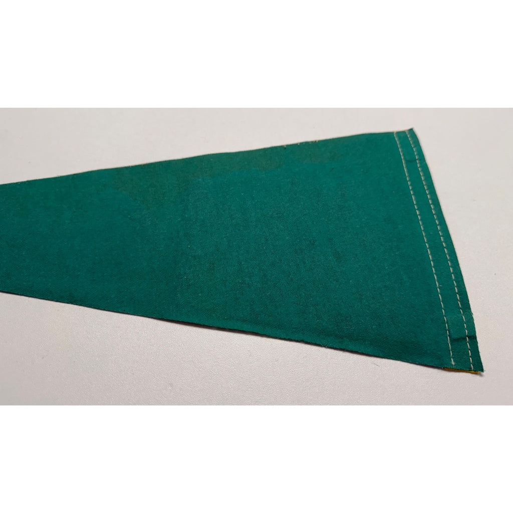 Vintage Chinatown San Francisco, California pennant