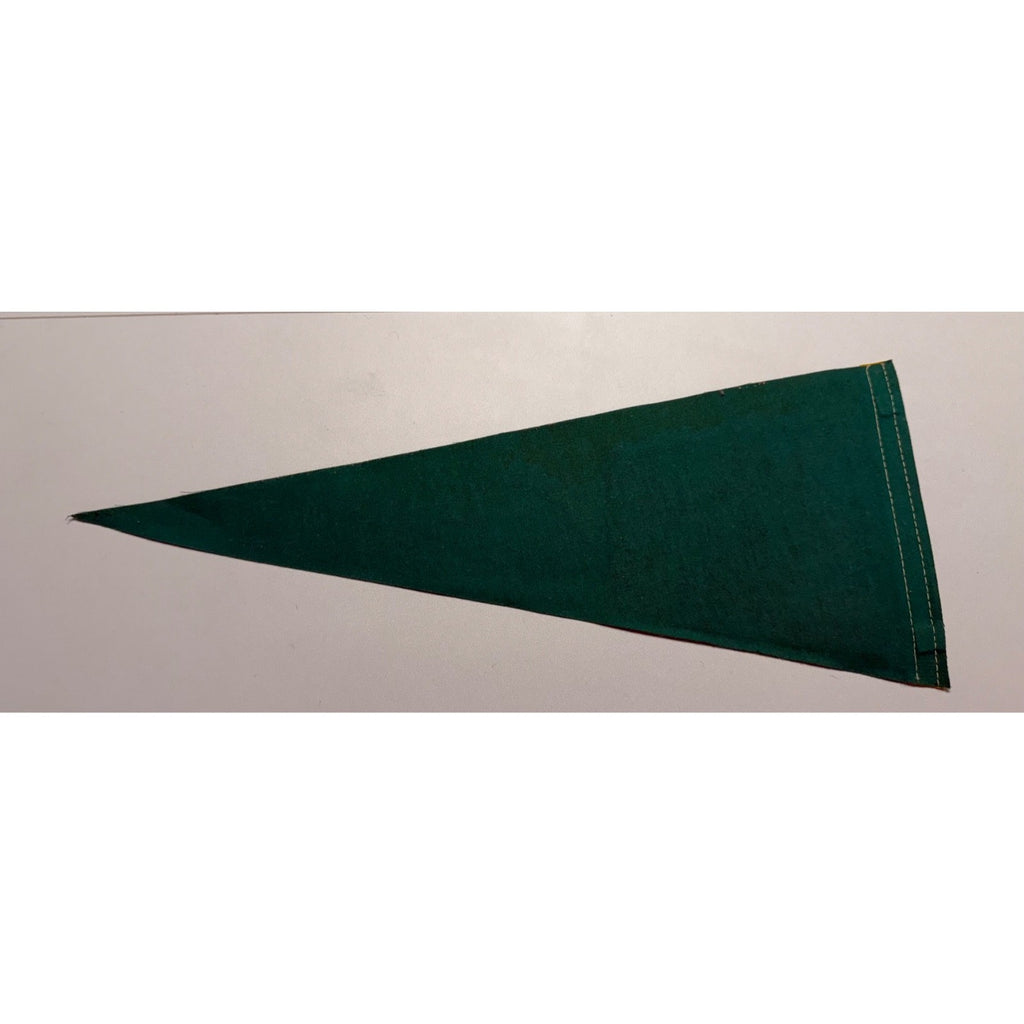 Vintage Chinatown San Francisco, California pennant