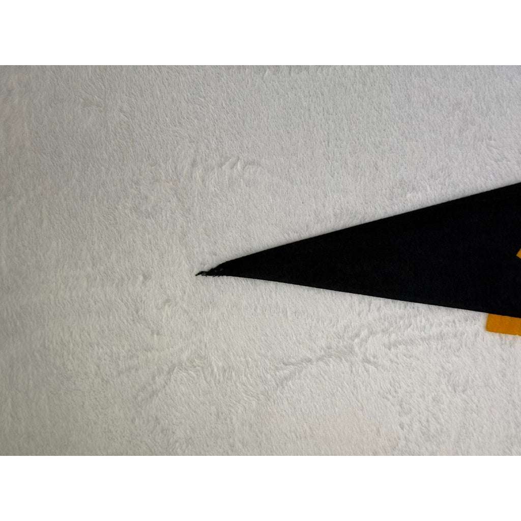 Vintage 1972 Rock City Lookout Mt. pennant
