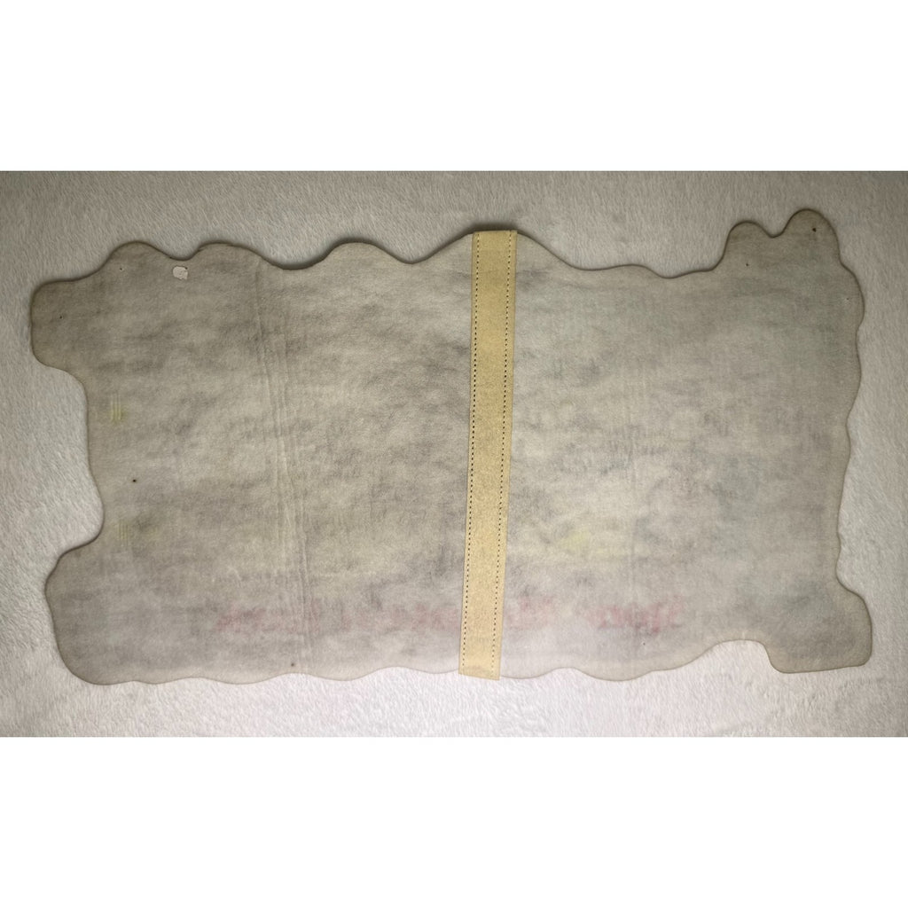 Vintage Stone Mountain Park pennant