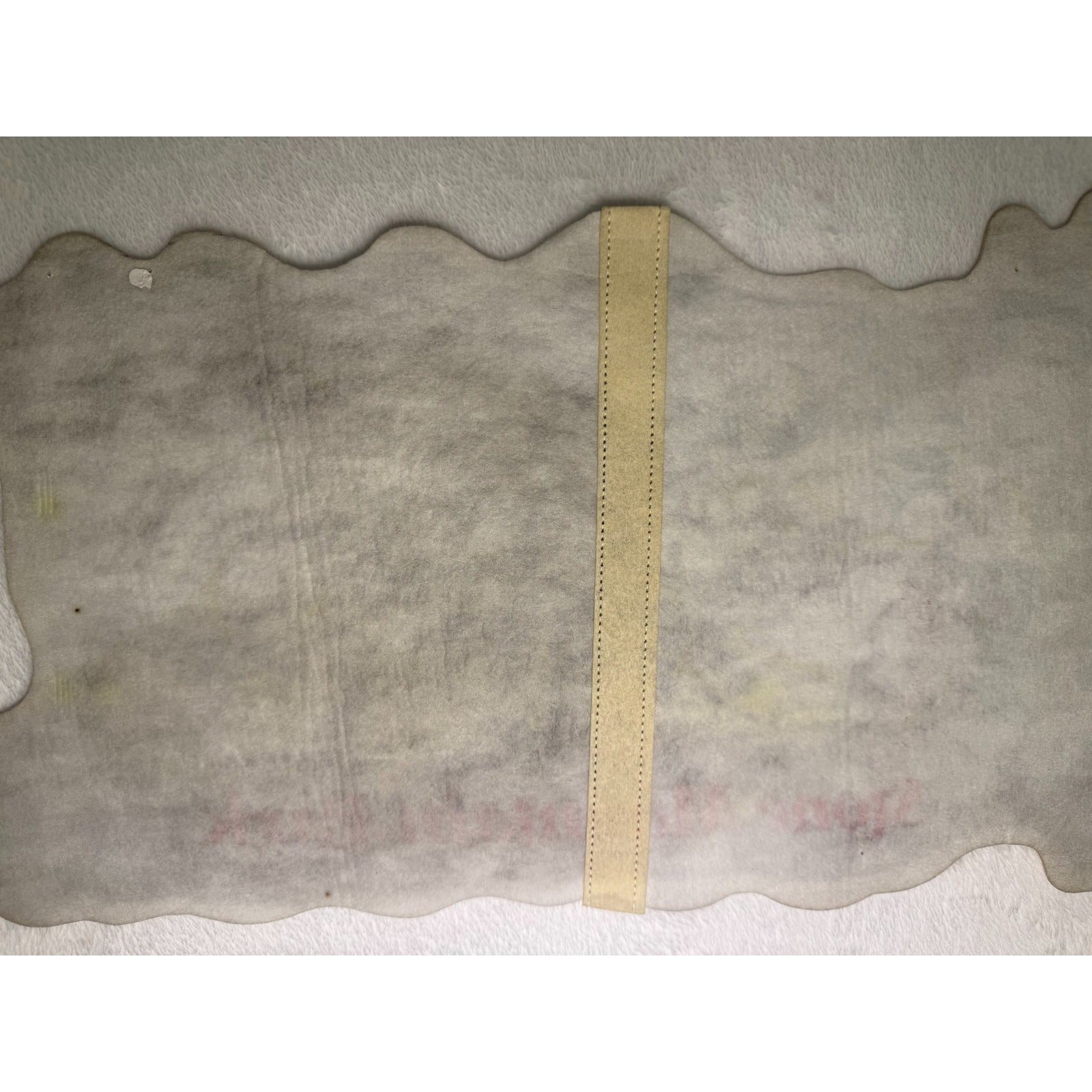 Vintage Stone Mountain Park pennant