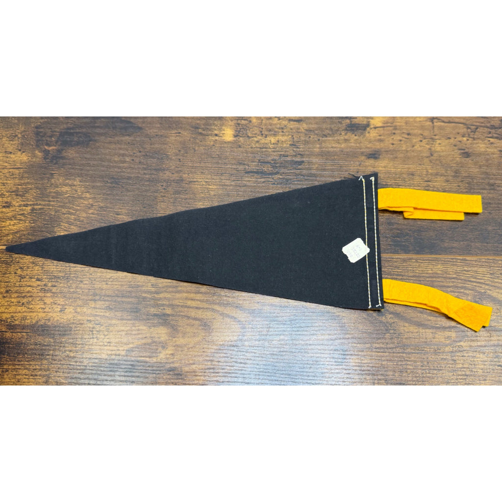 Vintage Hollywood Bowl Felt Pennant Memorabilia Souvenir 12 inches