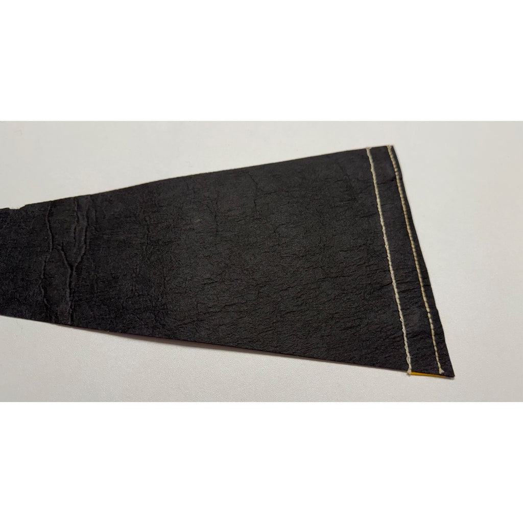 Vintage Jamestown, Va pennant