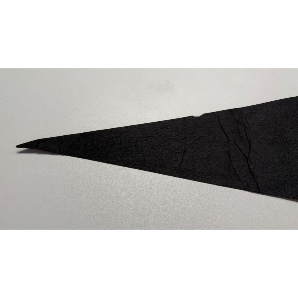Vintage Jamestown, Va pennant