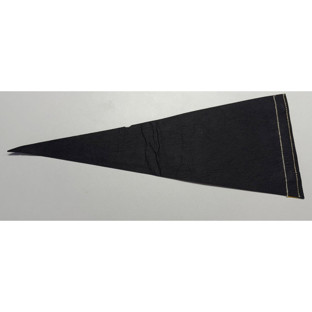 Vintage Jamestown, Va pennant