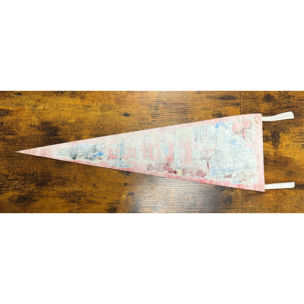 Vintage Florida pennant Made in USA