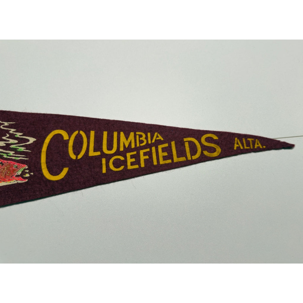 Vintage Columbia Icefields Alta. Canada pennant
