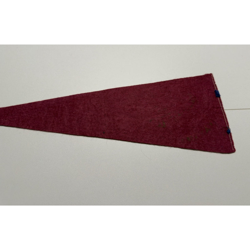 Vintage Columbia Icefields Alta. Canada pennant