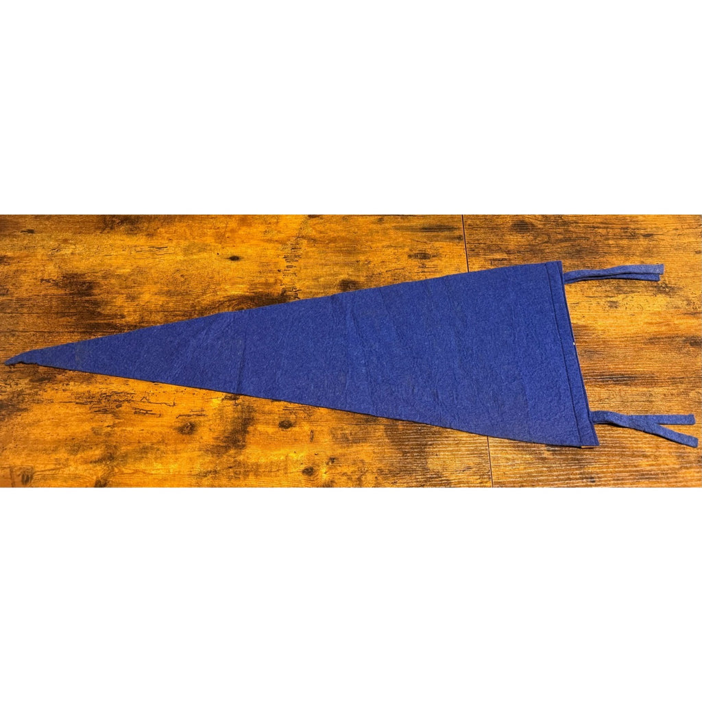 Vintage University of Illinois pennant