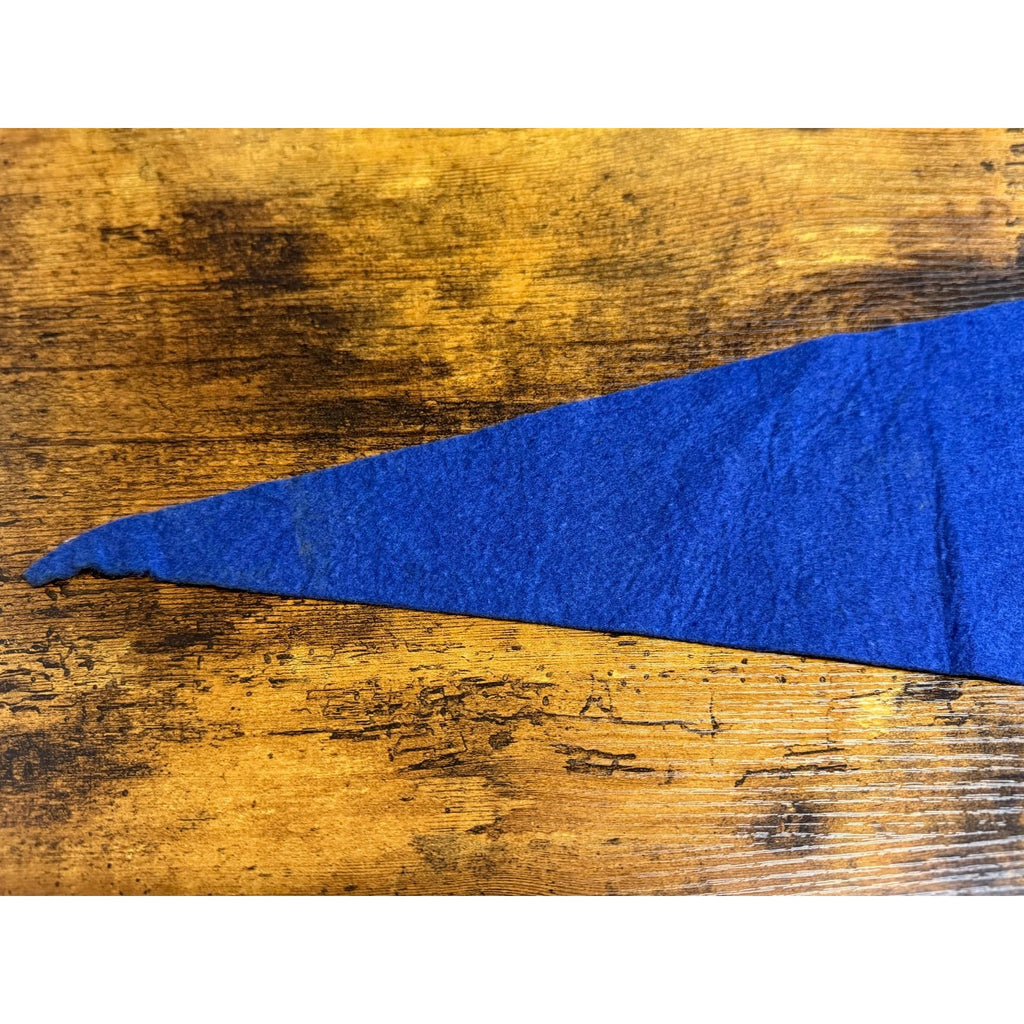Vintage University of Illinois pennant