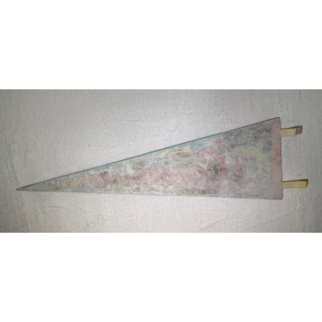 Vintage Canobie Lake Park, New Hampshire pennant