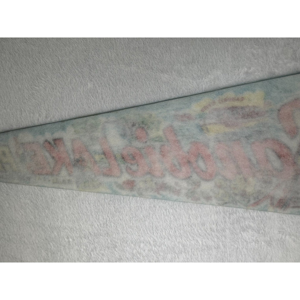 Vintage Canobie Lake Park, New Hampshire pennant