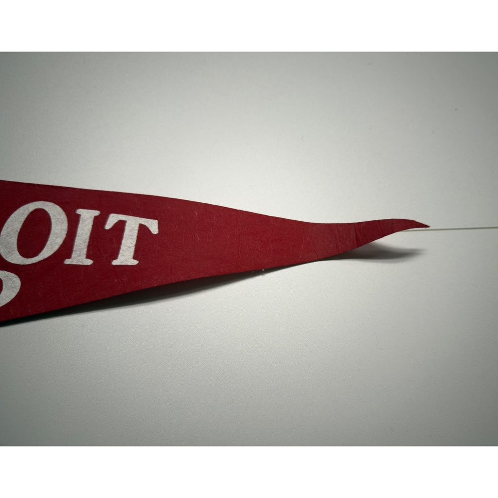 Vintage Detroit Zoo pennant