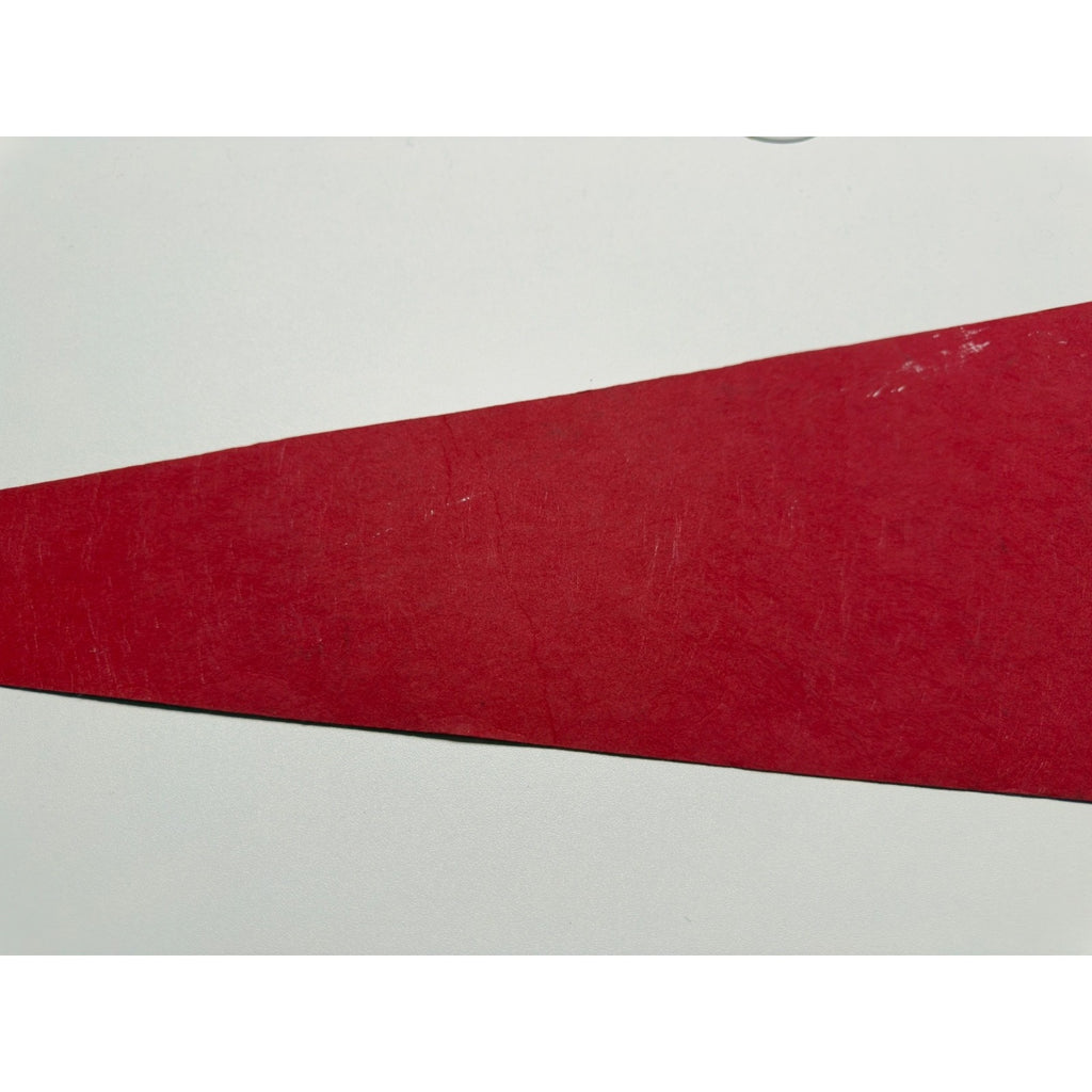 Vintage Detroit Zoo pennant