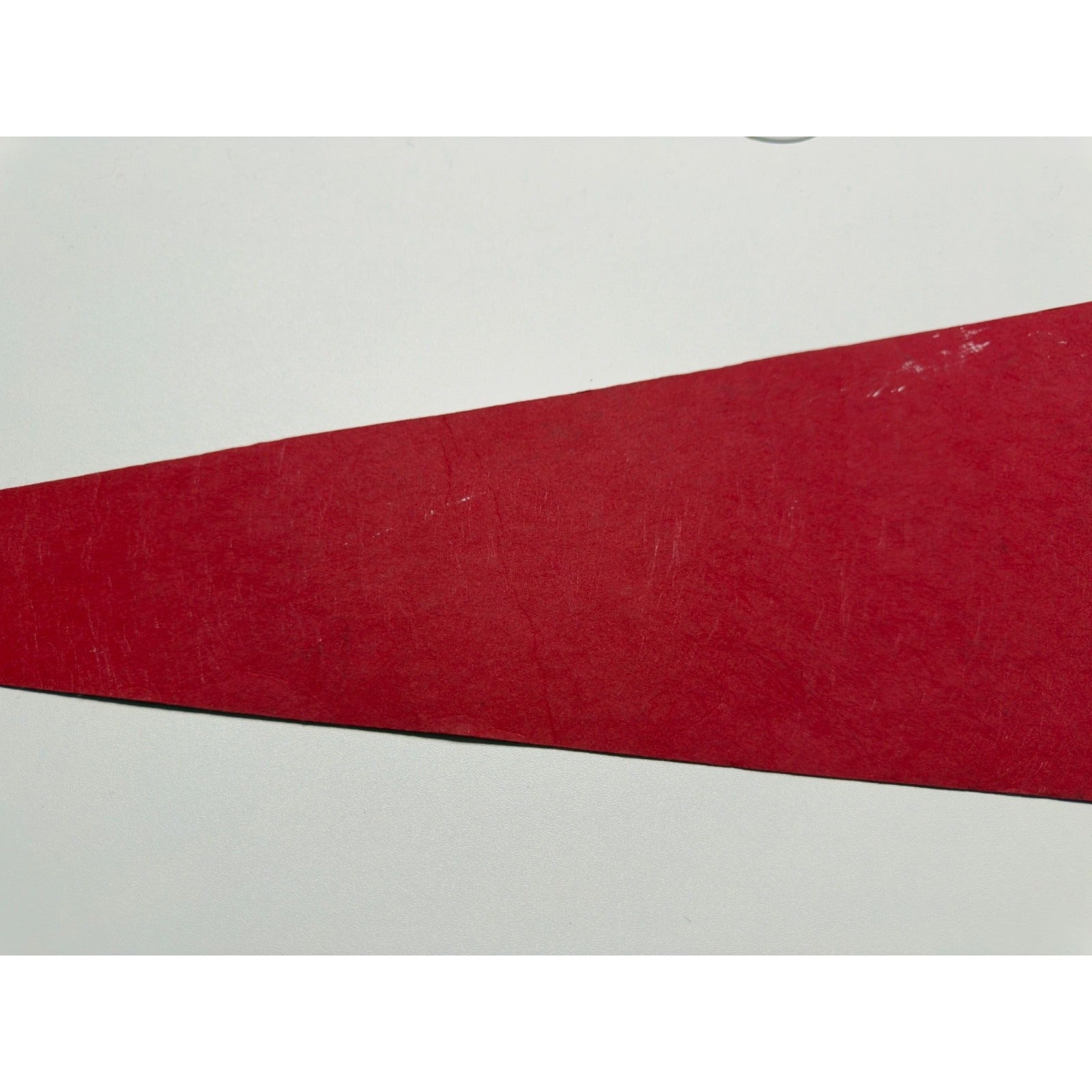 Vintage Detroit Zoo pennant