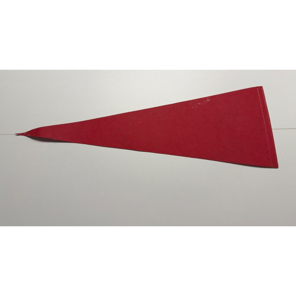 Vintage Detroit Zoo pennant